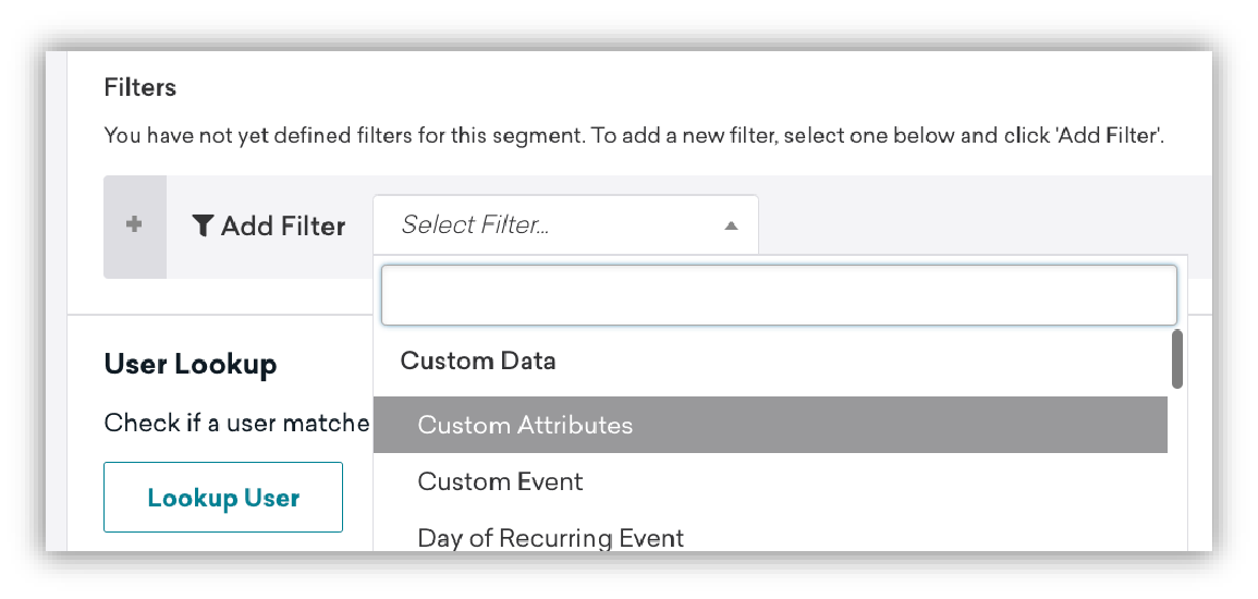 Custom attributes are available as a filter within the Braze segment editor.