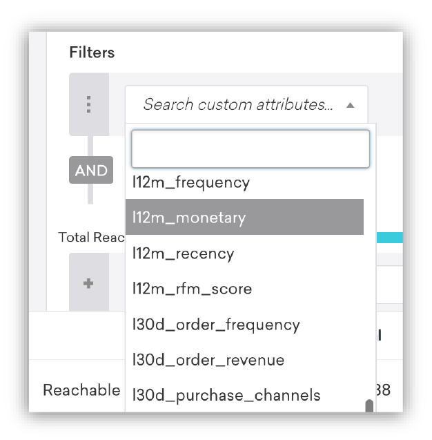 Custom attributes are available as a filter within the Braze segment editor.