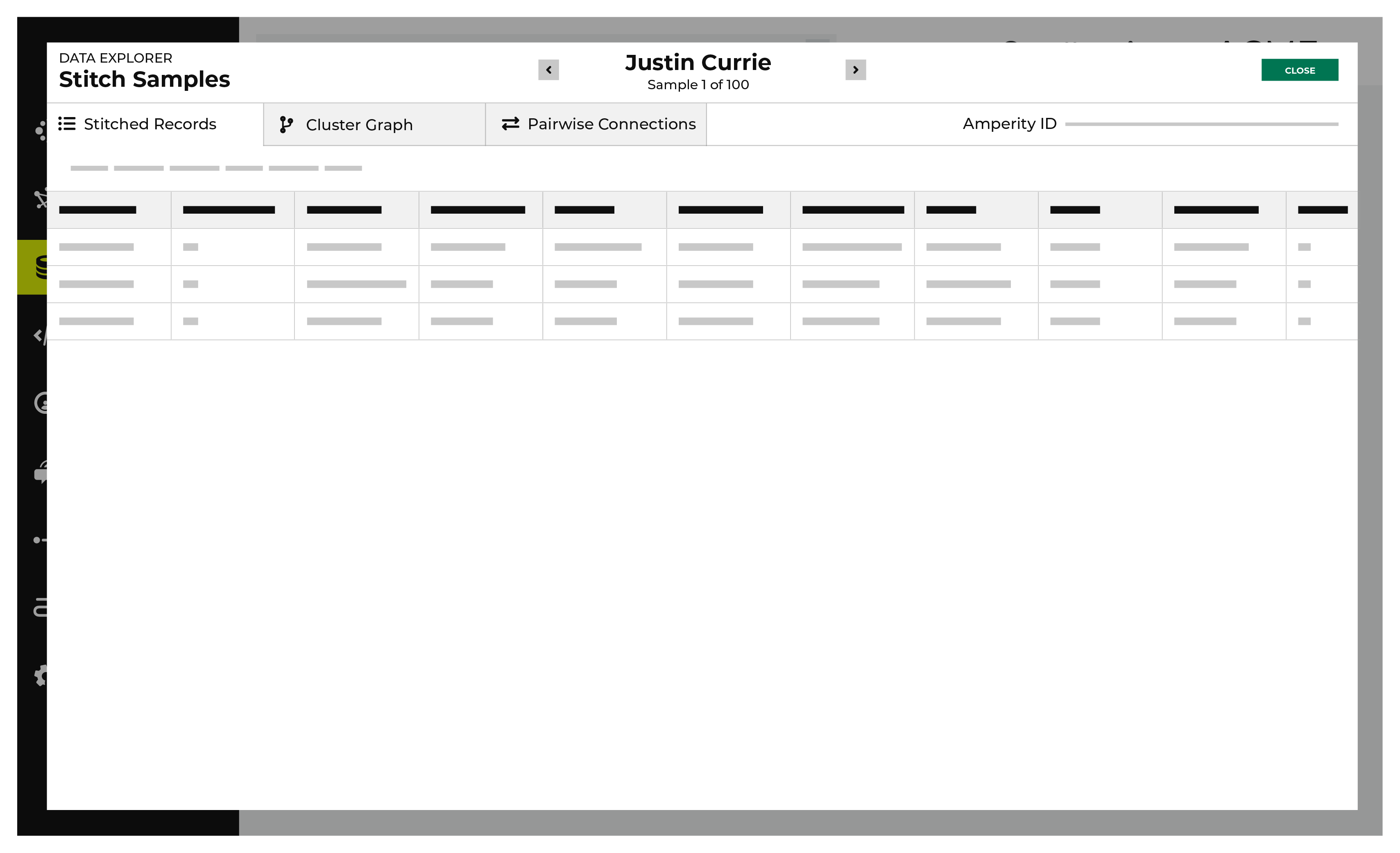 The data explorer, showing stitched records.