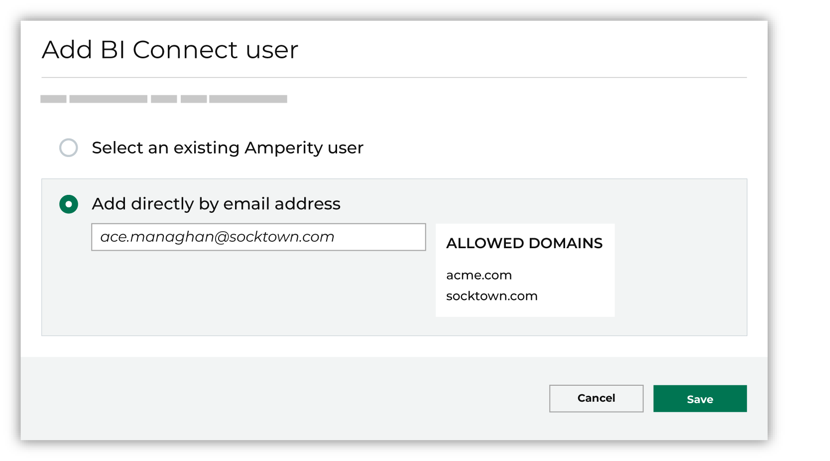Add Amperity users to BI Connect directly.