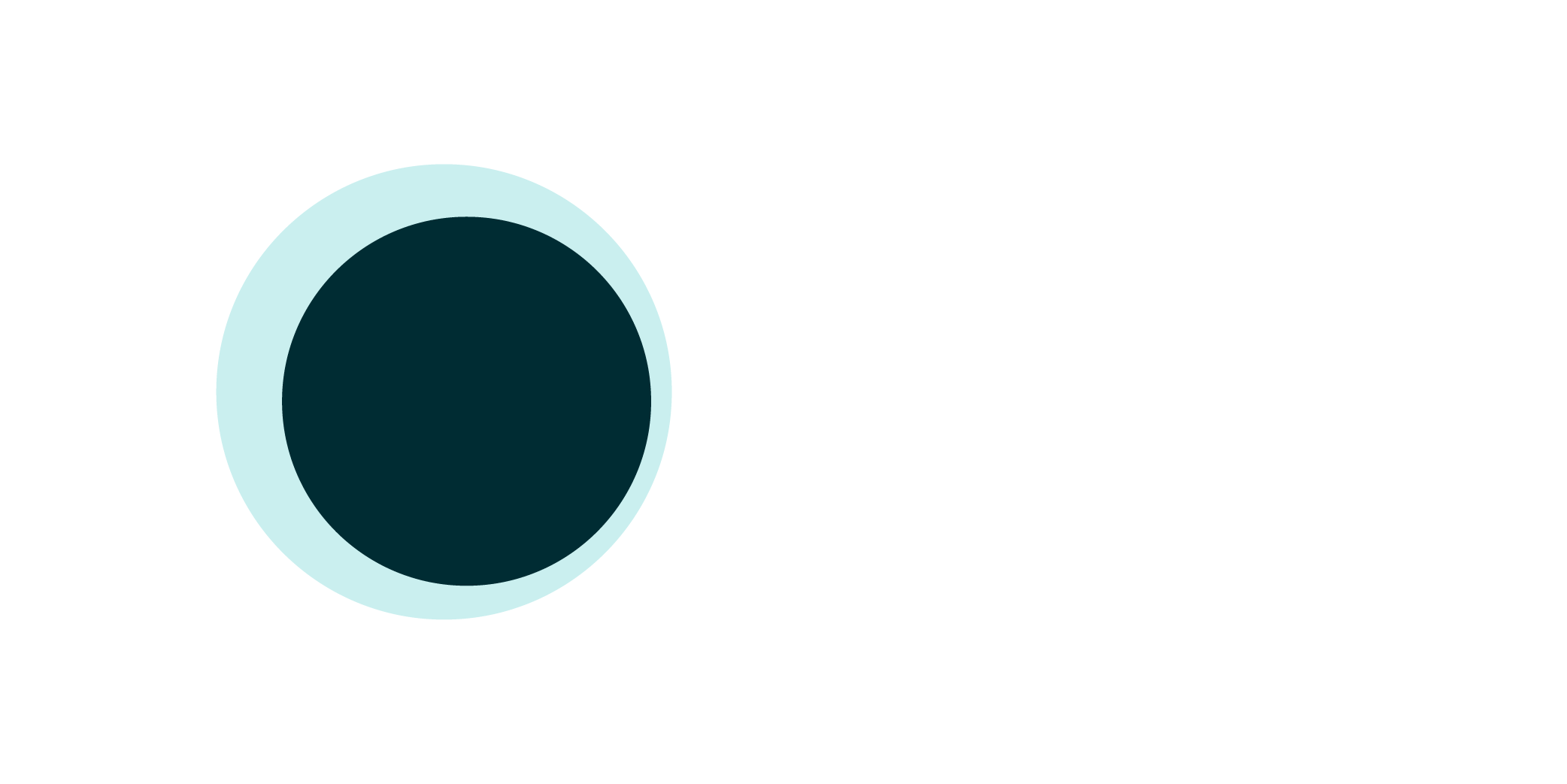 Return an audience that returns customers who have an email address and who have opted in.